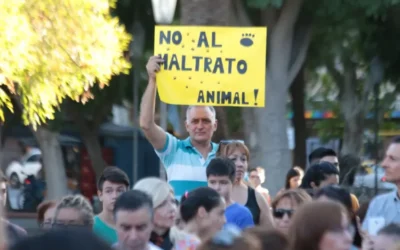 Sanjuaninos alzaron la voz contra el maltrato animal en la Plaza 25