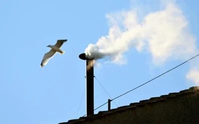 Mirá el video: así fue el emotivo momento en el que salió humo blanco de la chimenea de la Capilla Sixtina