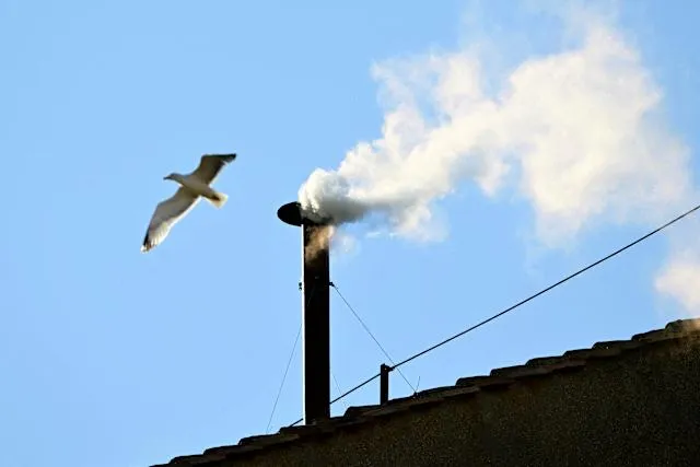 Mirá el video: así fue el emotivo momento en el que salió humo blanco de la chimenea de la Capilla Sixtina