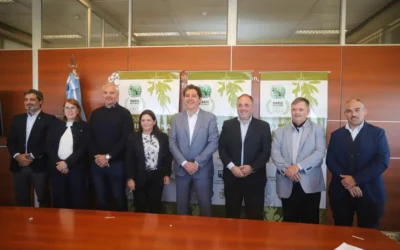 San Juan será sede del certamen que elegirá los mejores aceites del hemisferio sur