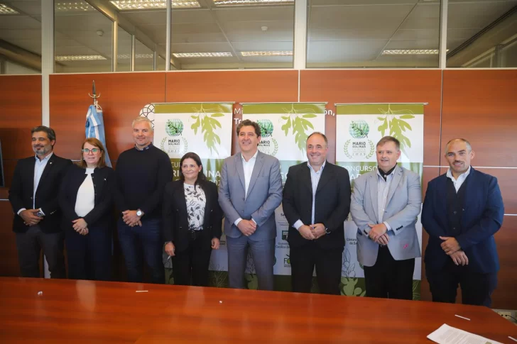 San Juan será sede del certamen que elegirá los mejores aceites del hemisferio sur