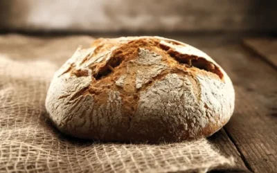 «Yo soy el pan de la vida; el que viene a mí no tendrá hambre»