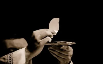«La voluntad de mi Padre consiste en que todo el que vea al Hijo y crea en él, tenga vida eterna»