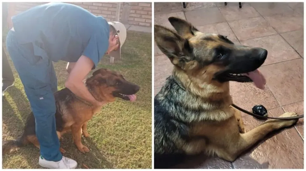 Detuvieron a un empleado legislativo por golpear brutalmente a su perro