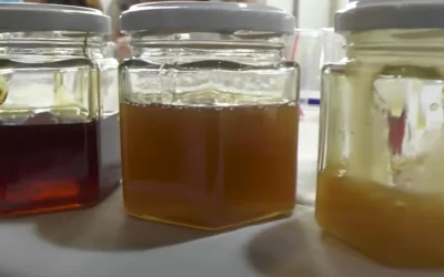 13° Semana de la Miel Sanjuanina: conocé las actividades que se realizarán en la provincia