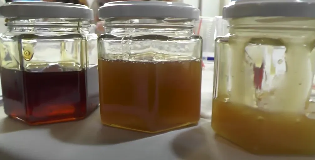 13° Semana de la Miel Sanjuanina: conocé las actividades que se realizarán en la provincia