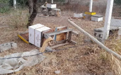 Grave acto de vandalismo en la Escuela de Fruticultura y Enología: destruyeron el campo didáctico