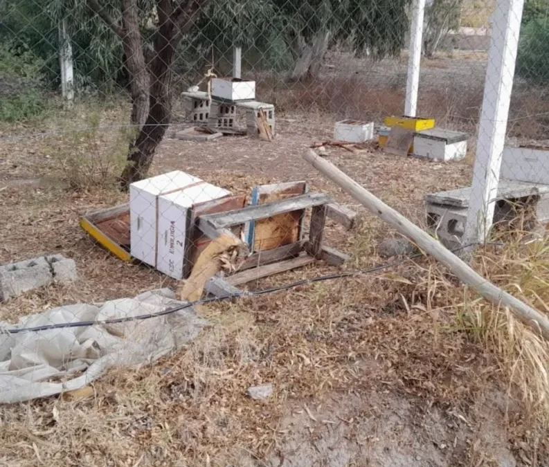 Grave acto de vandalismo en la Escuela de Fruticultura y Enología: destruyeron el campo didáctico
