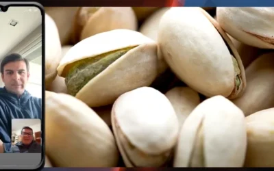 Furor por el pistacho sanjuanino: mucha demanda, falta de oferta y precios en alza