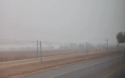 Tiempo en San Juan: miércoles frío y con niebla