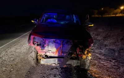 Un conductor sanjuanino chocó contra animales sueltos en la Ruta 20 pero salió ileso