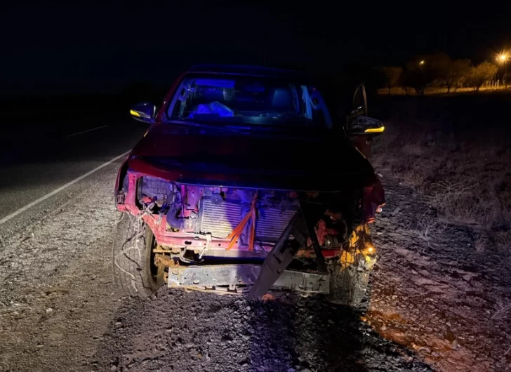 Un conductor sanjuanino chocó contra animales sueltos en la Ruta 20 pero salió ileso