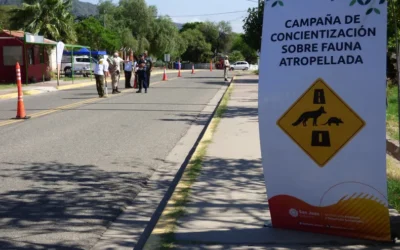 Lanzan una app en San Juan para reportar atropellos de fauna silvestre y proteger la biodiversidad