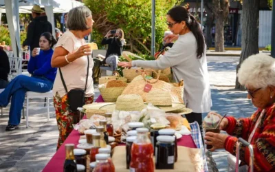 Vacaciones de invierno en San Juan: el Museo Casa Natal de Sarmiento lanzó su agenda de actividades para julio