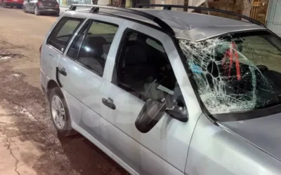 Un auto impactó con un caballo en Ruta 20 y sus ocupantes resultaron ilesos