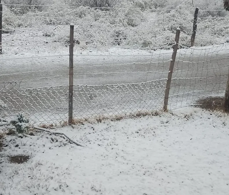 El temporal de Santa Rosa llegó con nieve a Pedernal