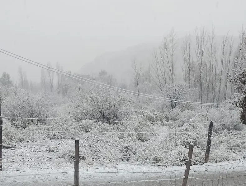 R (1) El temporal de Santa Rosa llegó con nieve a Pedernal