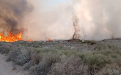 Brigadistas controlaron un incendio forestal en el Médano de Oro y evitaron daños mayores