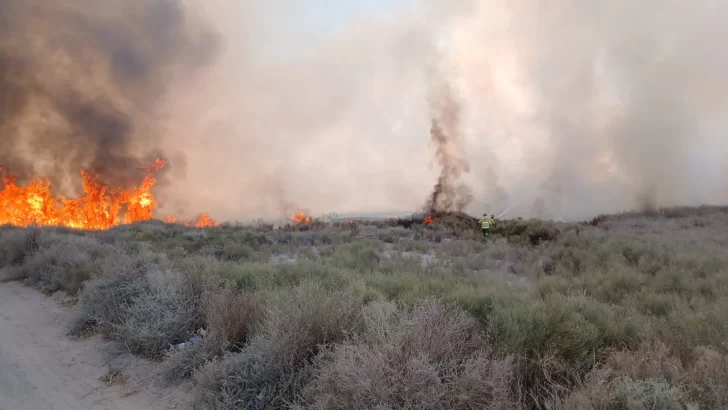 Brigadistas controlaron un incendio forestal en el Médano de Oro y evitaron daños mayores