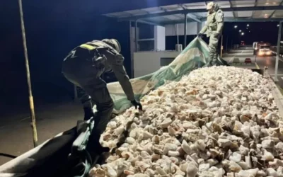 Interceptaron un camión con 30 toneladas de cuarzo sin documentación