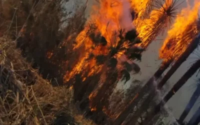 Dos incendios movilizaron a bomberos y Protección Civil en Rawson y Pocito