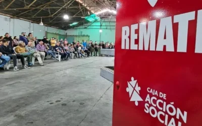La Caja de Acción Social rematará vehículos de IPEEM y la Municipalidad de Santa Lucía