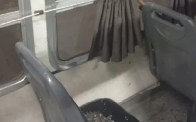Atacaron a piedrazos a un colectivo en Chimbas y una pasajera resultó herida