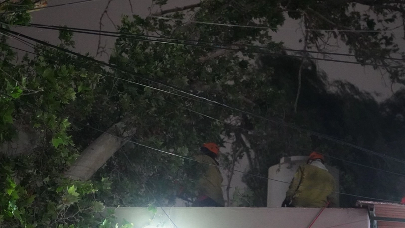 El EPRE abrió un sumario contra Naturgy: aún hay más de 200 usuarios sin luz tras el fuerte viento sur