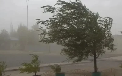 Tal como estaba anunciado, el viento sur llegó con fuerza a San Juan