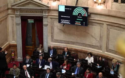 El Senado rechazó el veto de Milei y reactivó la ley de emergencia en discapacidad