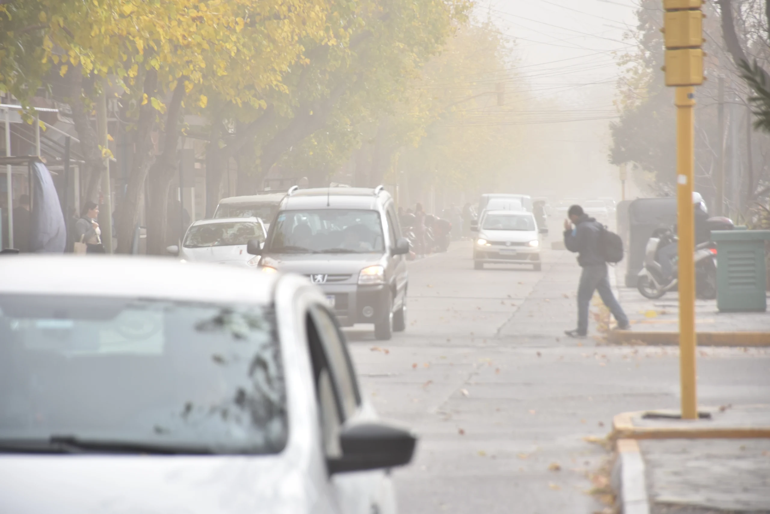 Otra vez alerta por viento fuerte: desde qué hora llegarán las ráfagas