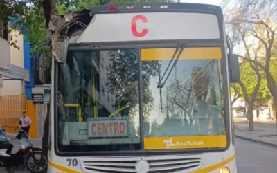 Un colectivo de la Red Tulum chocó contra la rama de un árbol y una pasajera resultó herida