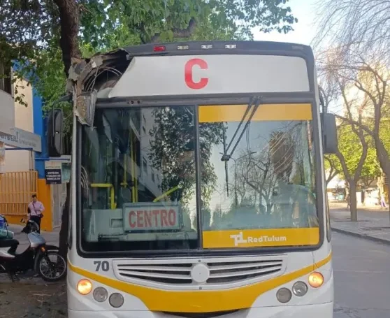 Un colectivo de la Red Tulum chocó contra la rama de un árbol y una pasajera resultó herida