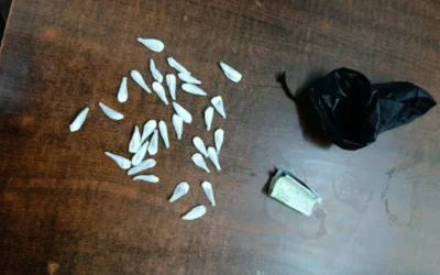 Detuvieron a un joven en Pocito con 32 envoltorios de cocaína