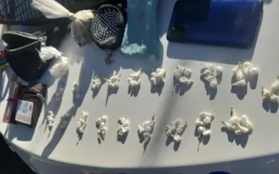 Detuvieron a un joven que le robó el celular a su suegra  también le encontraron drogas