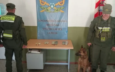 Detuvieron a tres personas que llevaban droga en forma de plantillas de zapatilla en un colectivo que iba a ingresar a San Juan