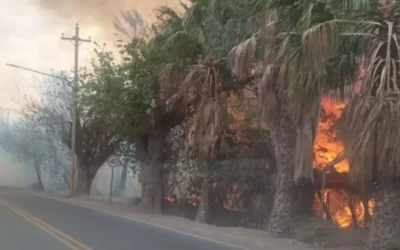 Santa Lucía: un incendio afectó una finca y una vivienda, pero no hubo heridos