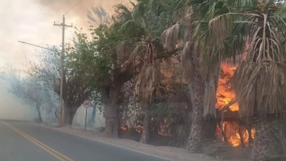 Santa Lucía: un incendio afectó una finca y una vivienda, pero no hubo heridos