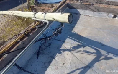 El fuerte viento sur dejó una gran cantidad de árboles y cables caídos