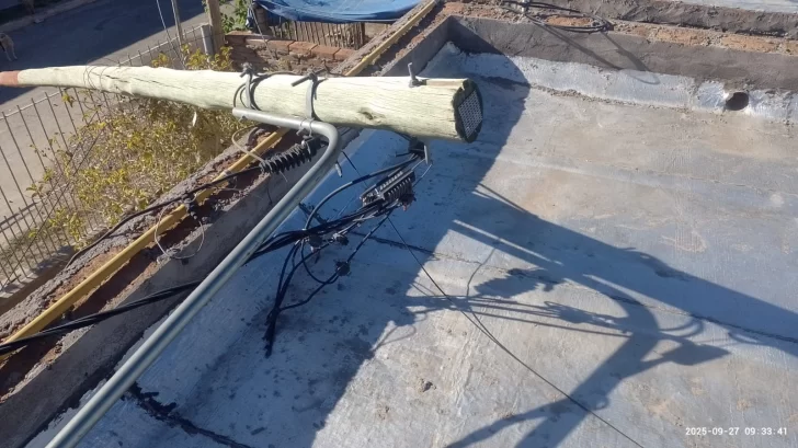 El fuerte viento sur dejó una gran cantidad de árboles y cables caídos