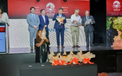 Cinco vinos sanjuaninos recibieron el máximo galardón en un concurso nacional