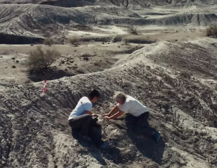 Descubrieron en Ischigualasto un fósil de un dinosaurio que habitó hace 230 millones de años