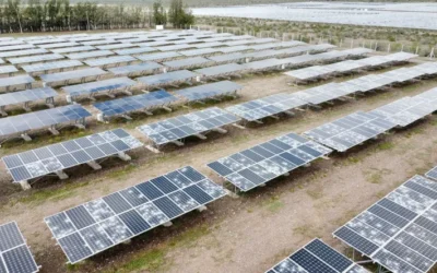 Una empresa sanjuanina reciclará hasta 200.000 paneles solares por año en Ullum
