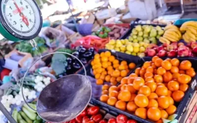 Feria y Mercado de Abasto de Capital: precios accesibles y productos frescos