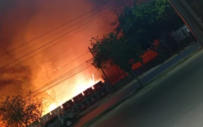 Incendio en un baldío cercano a Casa de Gobierno: afectó un local comercial y una palmera del predio