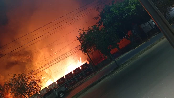 Incendio en un baldío cercano a Casa de Gobierno: afectó un local comercial y una palmera del predio