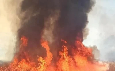 La explosión de un transformador provocó un incendio y dejó sin luz al Médano de Oro