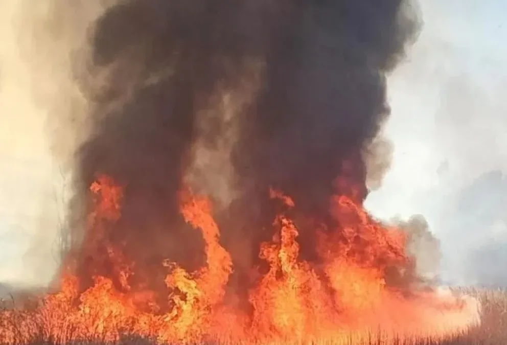 La explosión de un transformador provocó un incendio y dejó sin luz al Médano de Oro