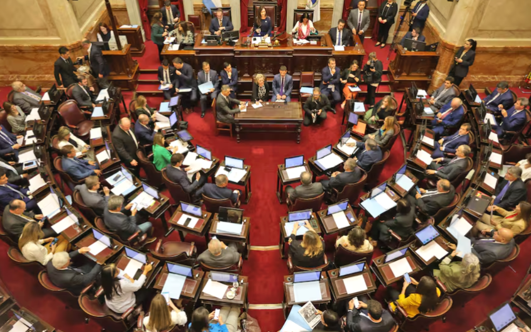 El Senado debate el rechazo de los vetos presidenciales al financiamiento universitario y emergencia pediátrica
