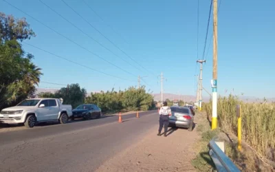 13 autos radiados, conductores demorados y un boliche clausurado tras una fiesta de Halloween en el Médano